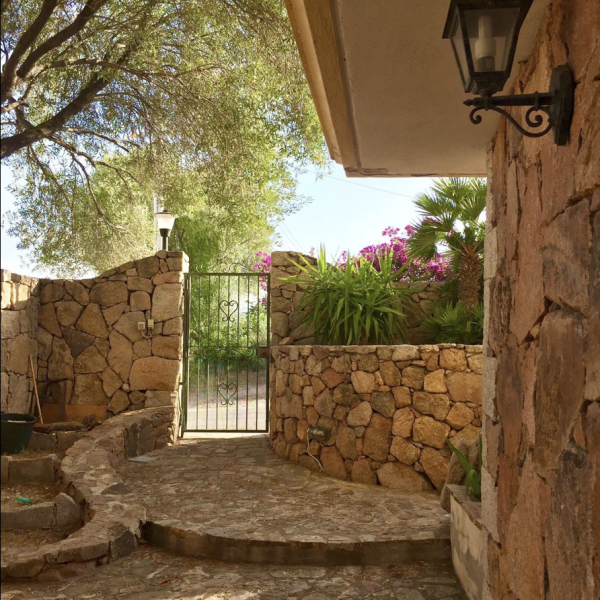 Bouganville terrazza2